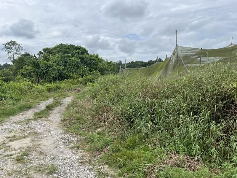Agricultural Land for Sale in Kuching (Sarawak) - Jimmyy Chin - PropertyGuru.com.my