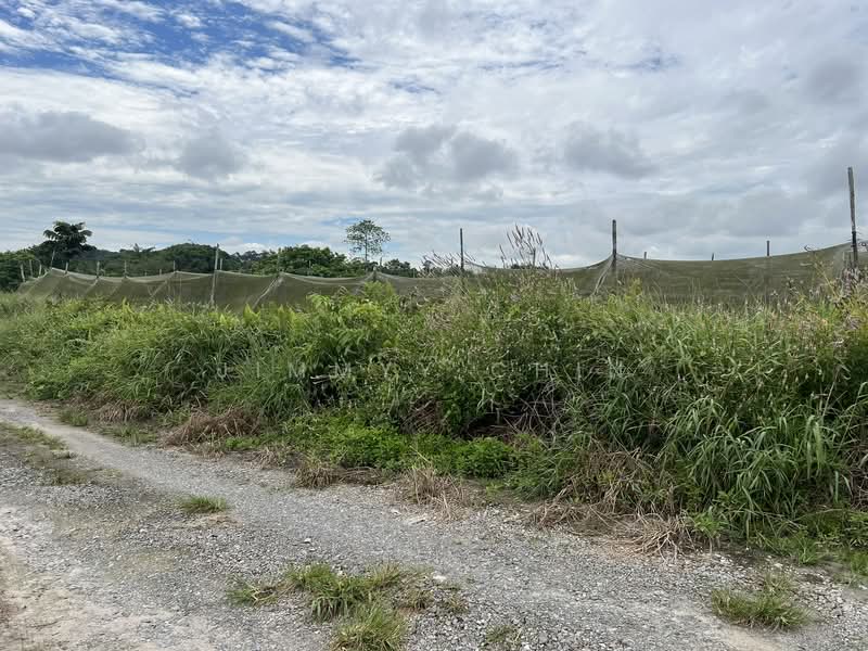Agricultural Land for Sale in Kuching (Sarawak) - Jimmyy Chin - PropertyGuru.com.my