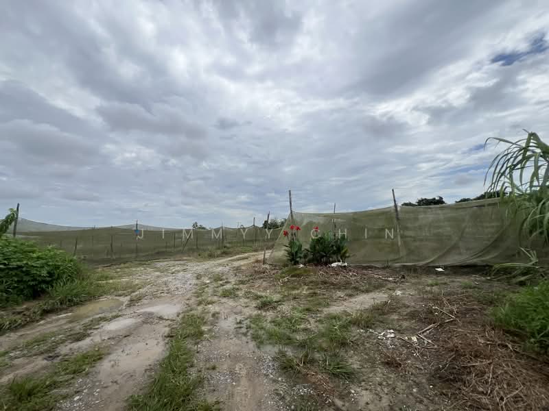 Agricultural Land for Sale in Kuching (Sarawak) - Jimmyy Chin - PropertyGuru.com.my