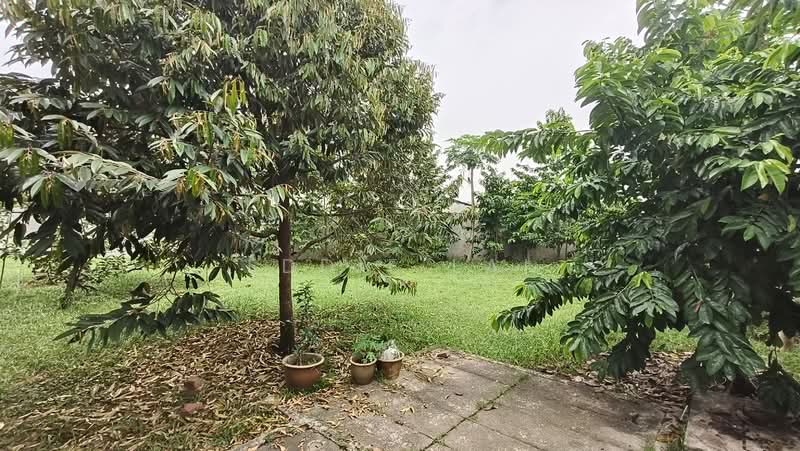 Rumah Banglo untuk Dijual di Taman Century (Johor Bahru) - Eddie Lai - Garden - PropertyGuru.com.my