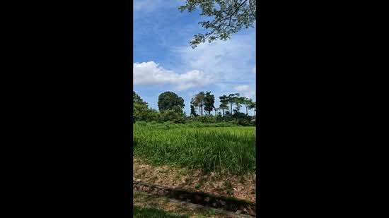 Residential Land for Sale in Leisure Farm (Gelang Patah) - TK Ding - PropertyGuru.com.my