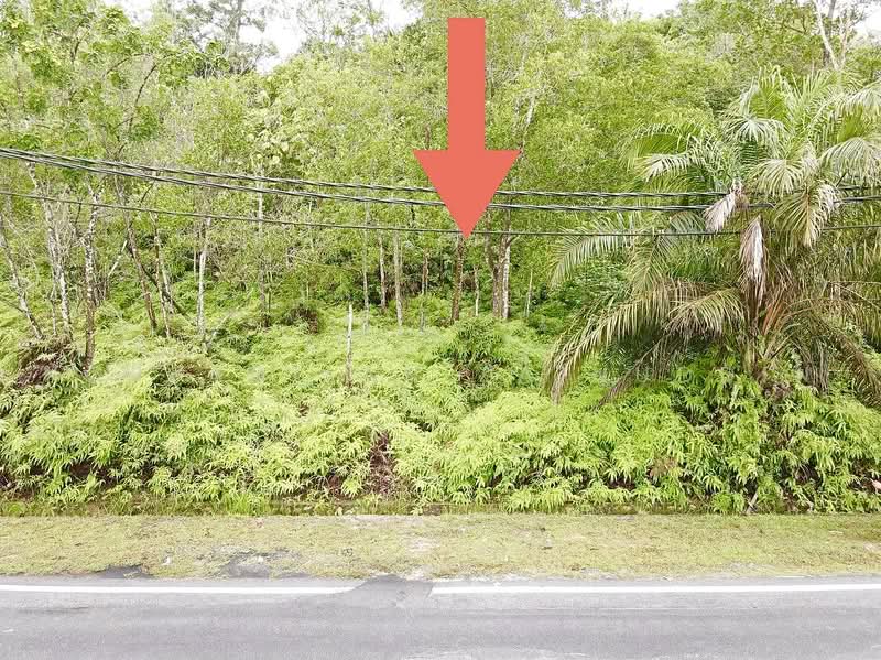 Residential Land for Sale in Shah Alam (Selangor) - NORFADILAH ZAINUDDIN - Exterior - PropertyGuru.com.my