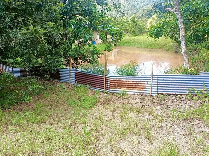 Agricultural Land for Sale in Kerling (Selangor) - NORFADILAH ZAINUDDIN - Exterior - PropertyGuru.com.my