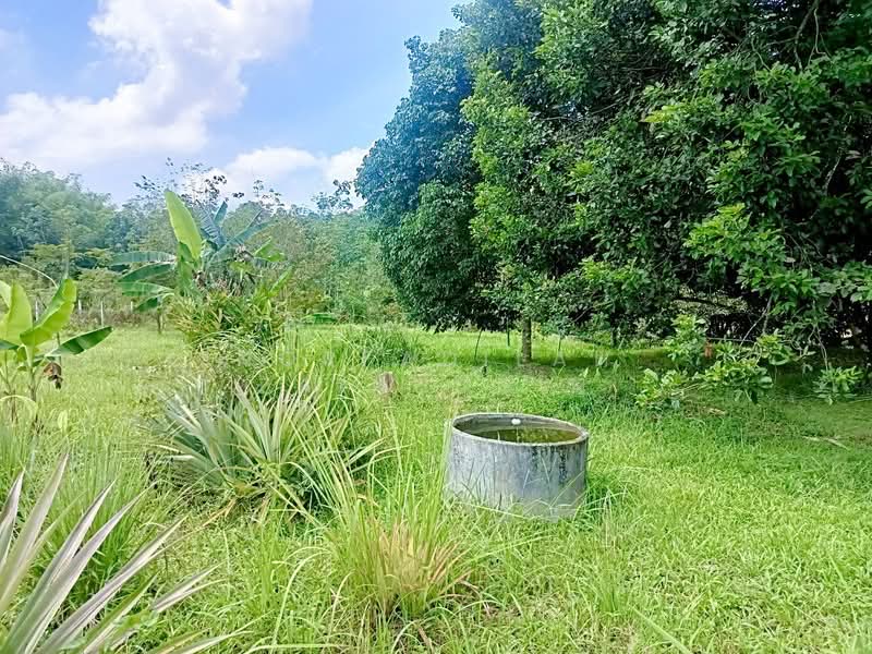Agricultural Land for Sale in Kerling (Selangor) - NORFADILAH ZAINUDDIN - Garden - PropertyGuru.com.my