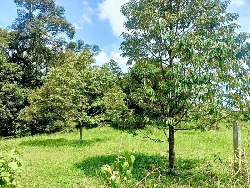 Agricultural Land for Sale in Kerling (Selangor) - NORFADILAH ZAINUDDIN - Garden - PropertyGuru.com.my