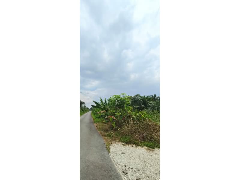 Agricultural Land for Sale in Pontian (Johor) - Jimmy . - PropertyGuru.com.my