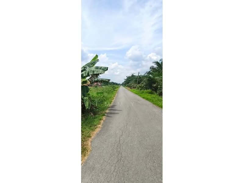 Agricultural Land for Sale in Pontian (Johor) - Jimmy . - Exterior - PropertyGuru.com.my