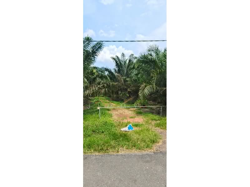 Agricultural Land for Sale in Pontian (Johor) - Jimmy . - Exterior - PropertyGuru.com.my