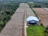 For Sale - Pontian-Benut