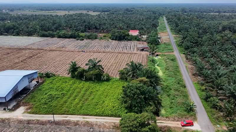 Agricultural Land for Sale in Pontian (Johor) - Jimmy . - Exterior - PropertyGuru.com.my