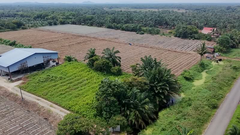 Agricultural Land for Sale in Pontian (Johor) - Jimmy . - Exterior - PropertyGuru.com.my