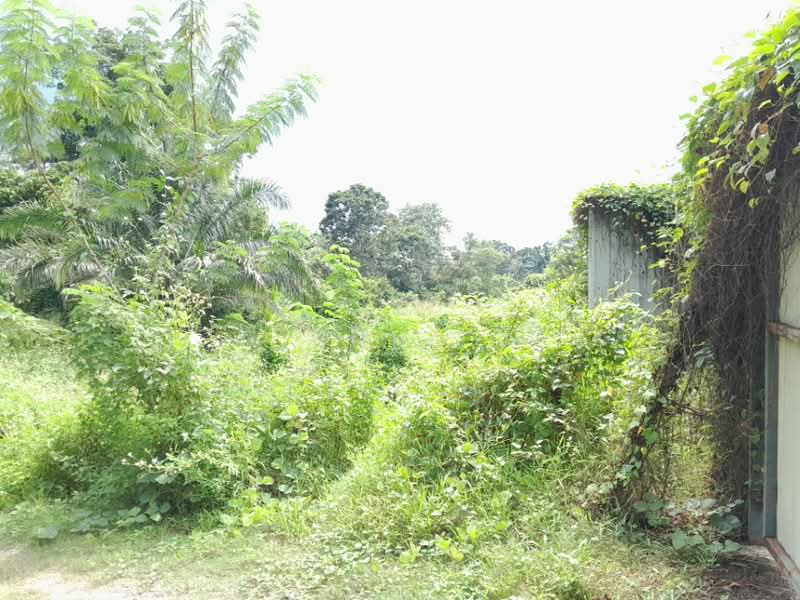 Tanah Pertanian untuk Disewa di Bandar Rinching (Semenyih) - Chong . - Exterior - PropertyGuru.com.my