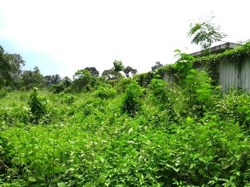 Tanah Pertanian untuk Disewa di Bandar Rinching (Semenyih) - Chong . - PropertyGuru.com.my