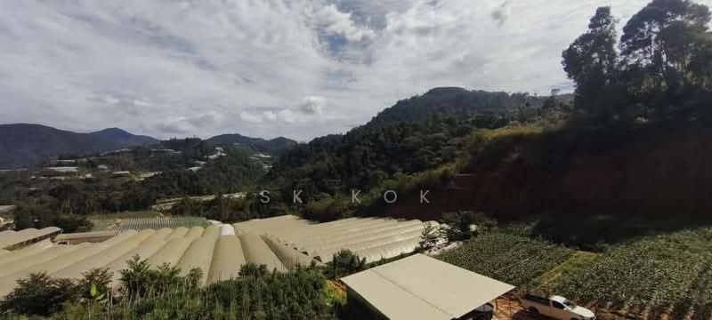 Tanah Pertanian untuk Disewa di Brinchang (Pahang) - SK Kok - PropertyGuru.com.my
