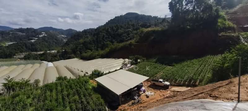 Tanah Pertanian untuk Disewa di Brinchang (Pahang) - SK Kok - PropertyGuru.com.my