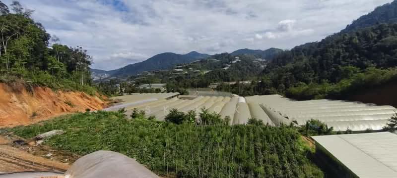 Tanah Pertanian untuk Disewa di Brinchang (Pahang) - SK Kok - PropertyGuru.com.my