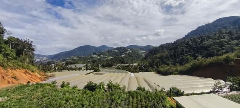 Tanah Pertanian untuk Disewa di Brinchang (Pahang) - SK Kok - PropertyGuru.com.my