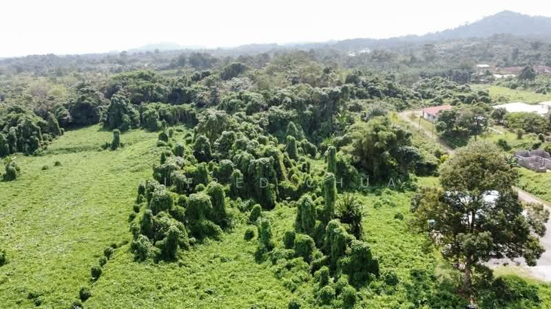 Other Property for Sale in Kuching (Sarawak) - Alfred Chua - Exterior - PropertyGuru.com.my