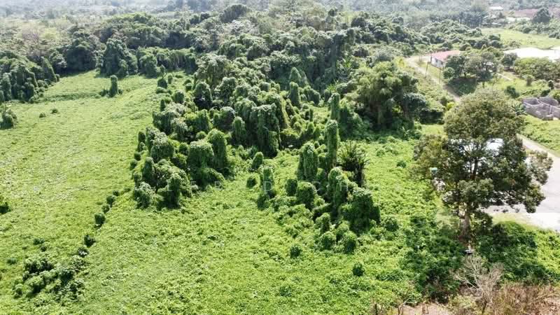 Other Property for Sale in Kuching (Sarawak) - Alfred Chua - Exterior - PropertyGuru.com.my