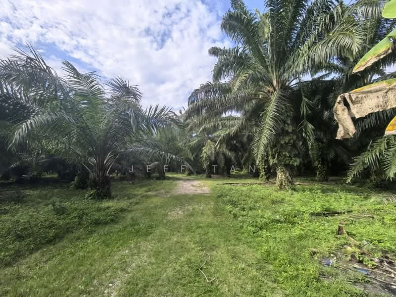 Agricultural Land for Sale in Bercham (Ipoh) - Jeff Tan - Exterior - PropertyGuru.com.my