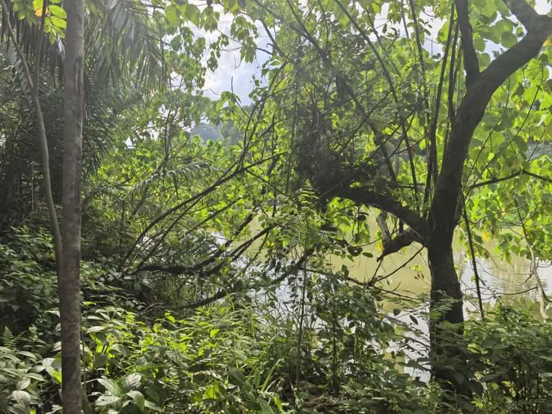 Agricultural Land for Sale in Bercham (Ipoh) - Jeff Tan - Exterior - PropertyGuru.com.my