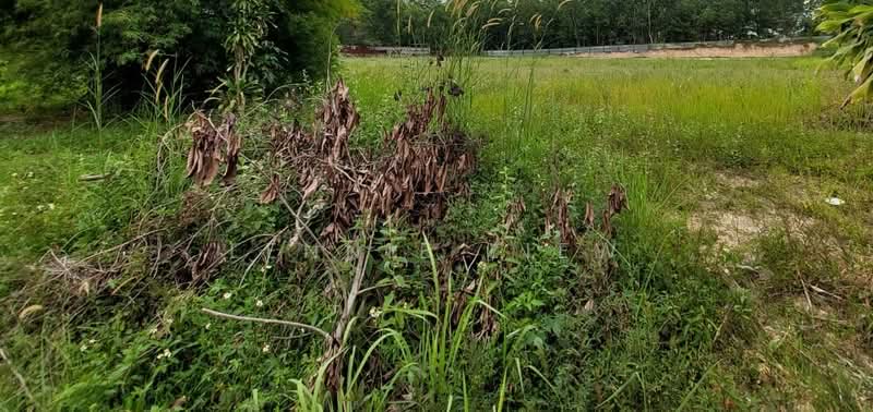 Agricultural Land for Sale in Sungai Buloh (Selangor) - Lennie Liew - Exterior - PropertyGuru.com.my