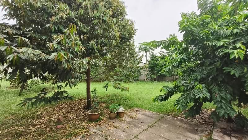 Rumah Banglo untuk Dijual di Taman Century (Johor Bahru) - Pooi Leen Voon - Garden - PropertyGuru.com.my