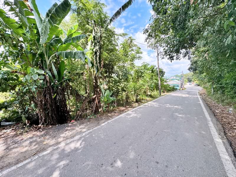 Agricultural Land for Sale in Kampung Sungai Pelong (Sungai Buloh) - Herman Sazwan Nor Rahim - Exterior - PropertyGuru.com.my