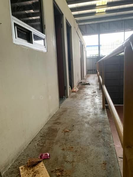 Terrace Factory for Rent in Taman Mount Austin (Tebrau) - Robin Teo - Corridor - PropertyGuru.com.my