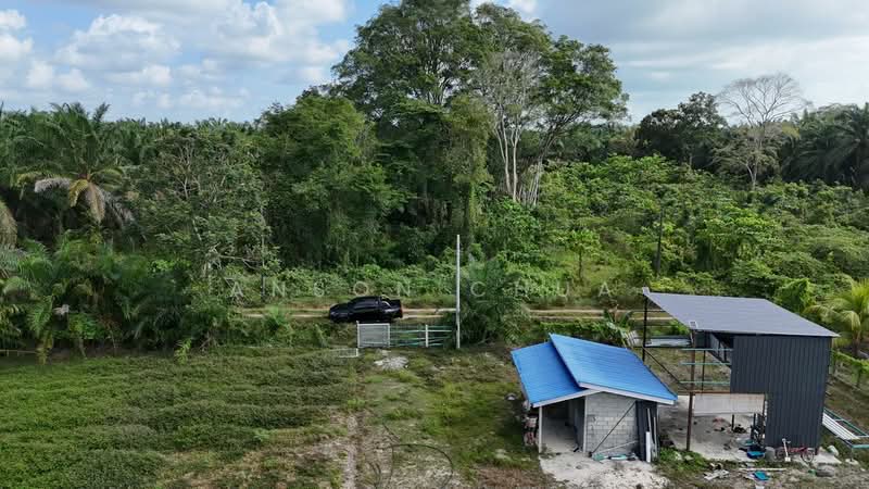 Tanah Pertanian untuk Dijual di Tanjung Sedili (Sedili Besar) - Anson Chua - Exterior - PropertyGuru.com.my