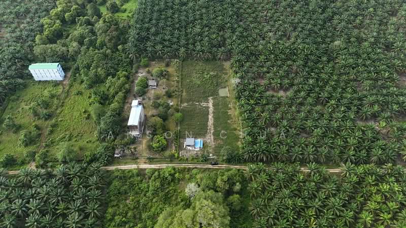 Tanah Pertanian untuk Dijual di Tanjung Sedili (Sedili Besar) - Anson Chua - Exterior - PropertyGuru.com.my