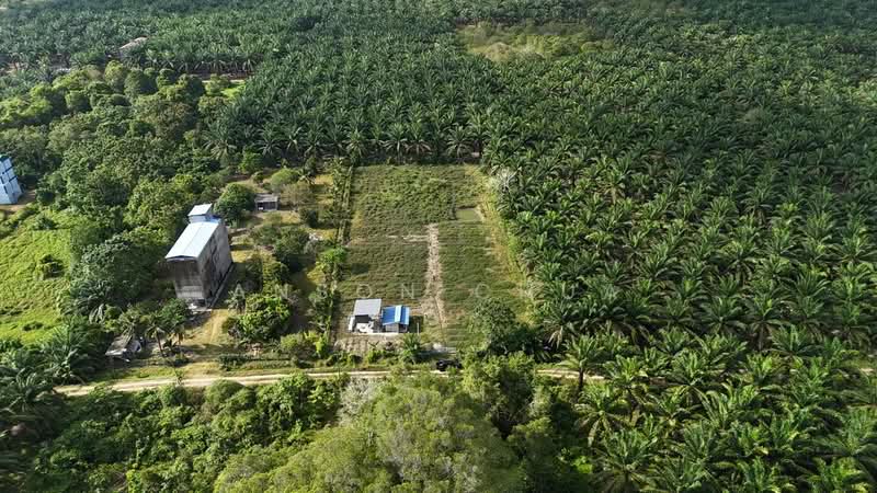 Tanah Pertanian untuk Dijual di Tanjung Sedili (Sedili Besar) - Anson Chua - Exterior - PropertyGuru.com.my