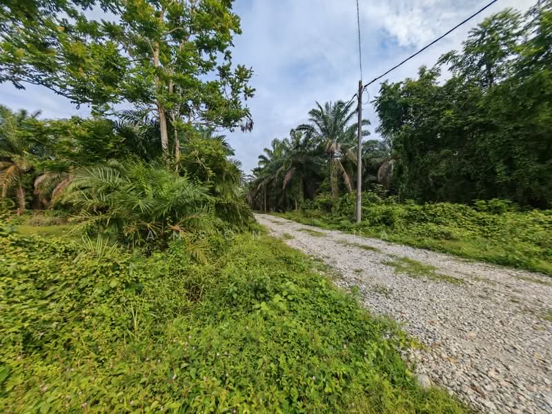 Tanah Pertanian untuk Dijual di Tanjung Sedili (Sedili Besar) - Anson Chua - Exterior - PropertyGuru.com.my
