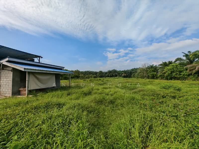 Tanah Pertanian untuk Dijual di Tanjung Sedili (Sedili Besar) - Anson Chua - Exterior - PropertyGuru.com.my