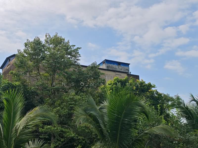 Tanah Pertanian untuk Dijual di Tanjung Sedili (Sedili Besar) - Anson Chua - Exterior - PropertyGuru.com.my