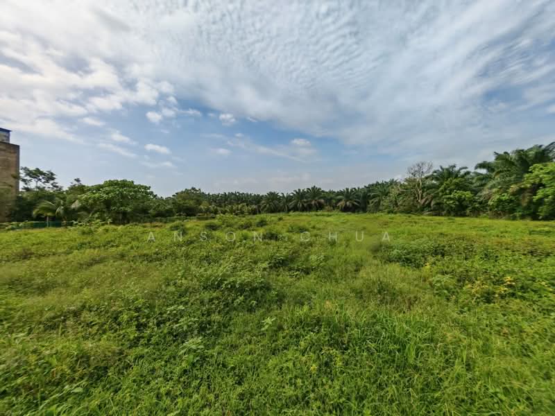 Tanah Pertanian untuk Dijual di Tanjung Sedili (Sedili Besar) - Anson Chua - Exterior - PropertyGuru.com.my