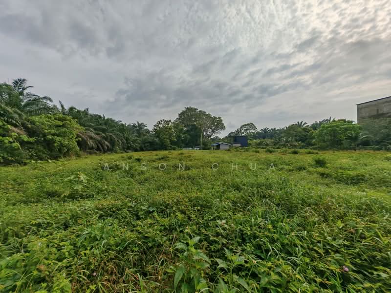 Tanah Pertanian untuk Dijual di Tanjung Sedili (Sedili Besar) - Anson Chua - Exterior - PropertyGuru.com.my