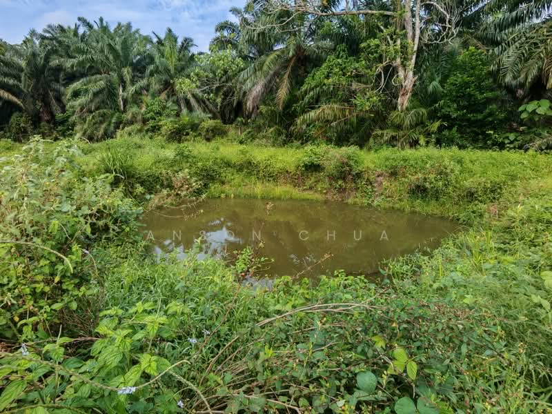 Tanah Pertanian untuk Dijual di Tanjung Sedili (Sedili Besar) - Anson Chua - Exterior - PropertyGuru.com.my