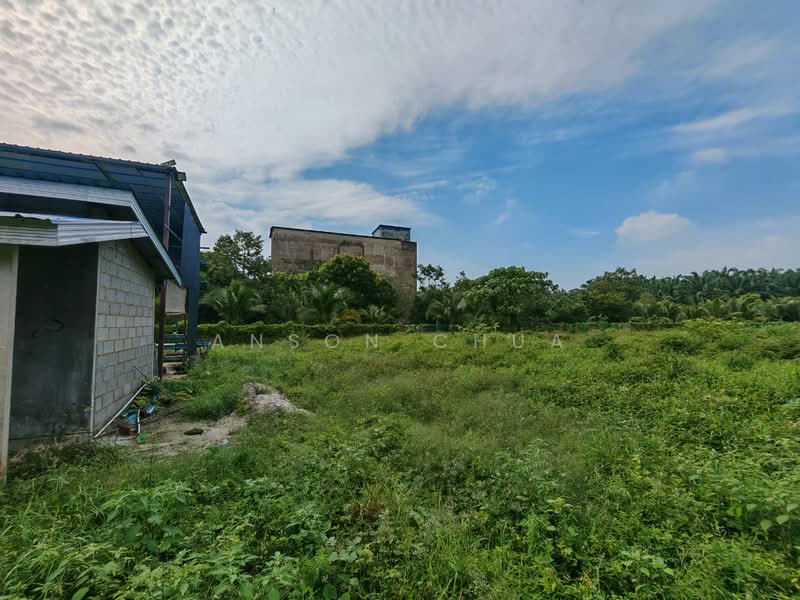 Tanah Pertanian untuk Dijual di Tanjung Sedili (Sedili Besar) - Anson Chua - Exterior - PropertyGuru.com.my