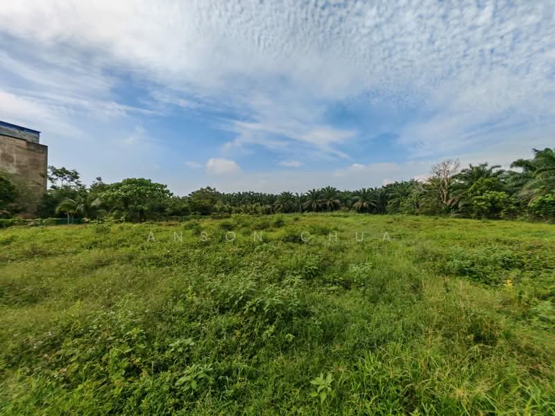 Tanah Pertanian untuk Dijual di Tanjung Sedili (Sedili Besar) - Anson Chua - Exterior - PropertyGuru.com.my