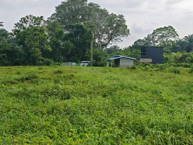 Tanah Pertanian untuk Dijual di Tanjung Sedili (Sedili Besar) - Anson Chua - Exterior - PropertyGuru.com.my