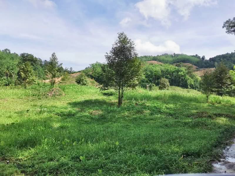 Tanah Pertanian untuk Dijual di Junjong (Kedah) - St Seah - Exterior - PropertyGuru.com.my