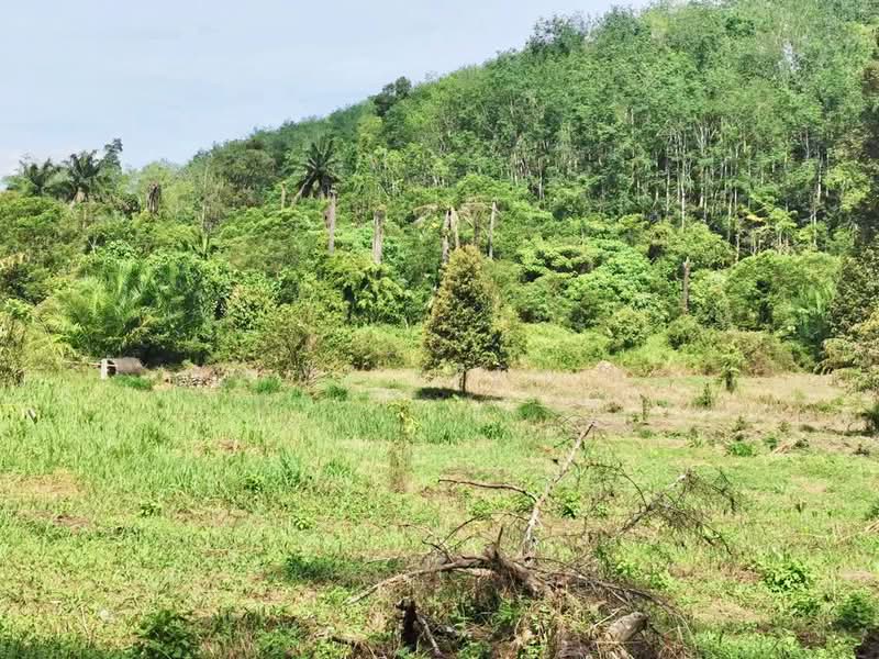 Tanah Pertanian untuk Dijual di Junjong (Kedah) - St Seah - Exterior - PropertyGuru.com.my