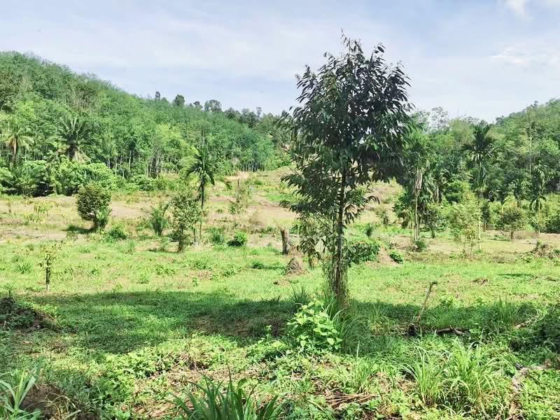 Tanah Pertanian untuk Dijual di Junjong (Kedah) - St Seah - Garden - PropertyGuru.com.my