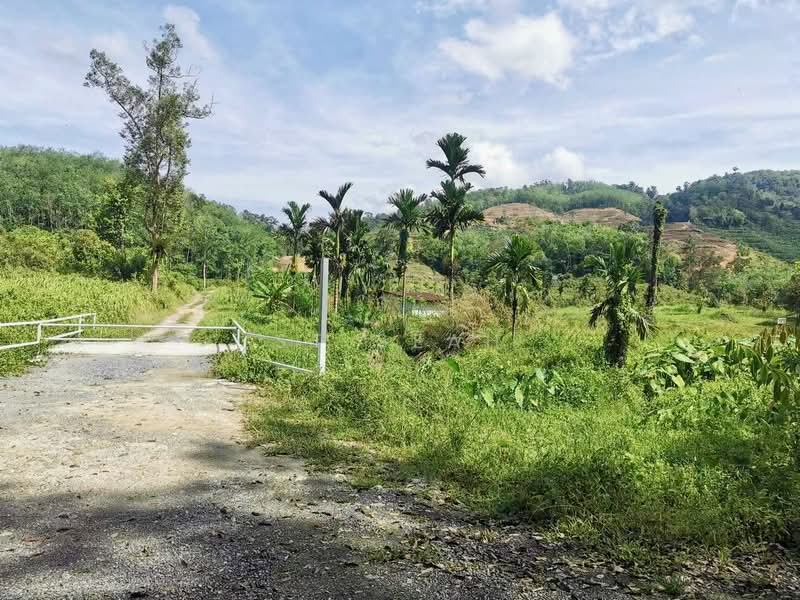 Tanah Pertanian untuk Dijual di Junjong (Kedah) - St Seah - Exterior - PropertyGuru.com.my