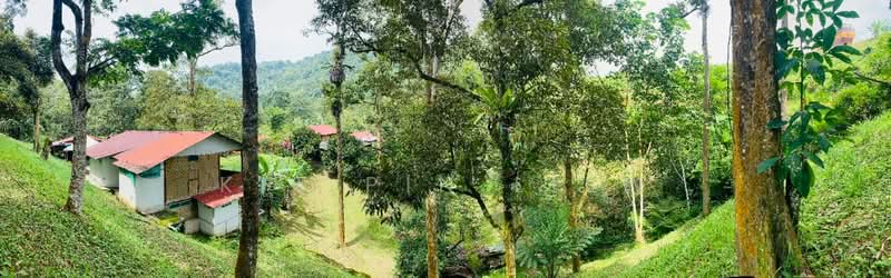 Hotel / Resort for Sale in Gopeng (Perak) - Kit Pin Liew - PropertyGuru.com.my