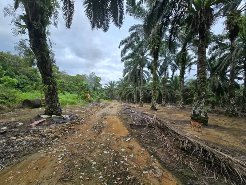 Industrial Land for Sale in Sungai Tiram (Ulu Tiram) - Terrence Gan - Exterior - PropertyGuru.com.my