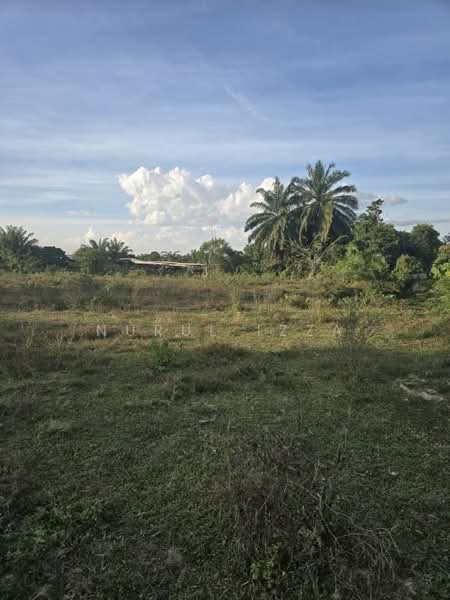Tanah Pertanian untuk Dijual di Kampung Pulau (Labu) - Nurul Izza - PropertyGuru.com.my