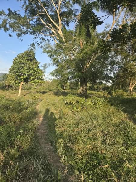 Tanah Pertanian untuk Dijual di Kampung Pulau (Labu) - Nurul Izza - PropertyGuru.com.my