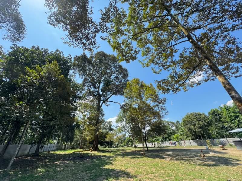 Agricultural Land for Sale in Kangkar Pulai (Skudai) - Queena Thye - Garden - PropertyGuru.com.my